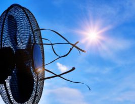 Which Tower Fan Offers the Best Cooling for Summer?