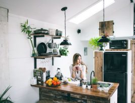 What Are the Essential Small Appliances Every Kitchen Needs?