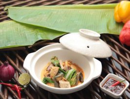 Which Pressure Cookers Offer the Best Features for Home Chefs?